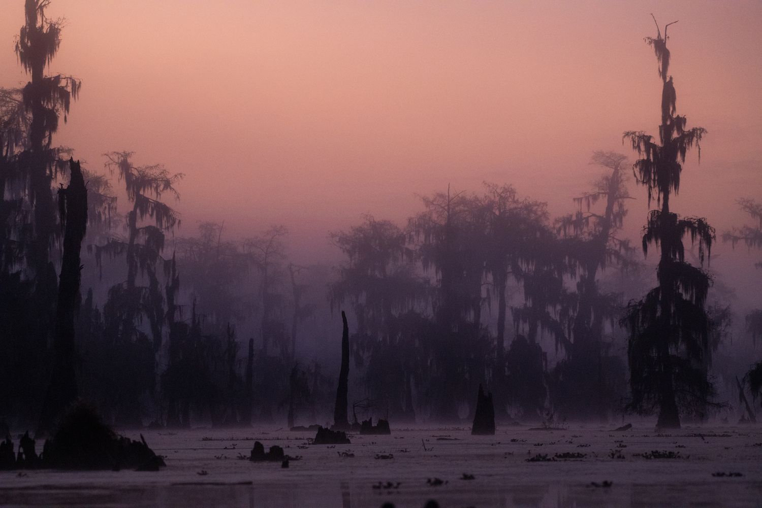 Denny Culbert - First Light