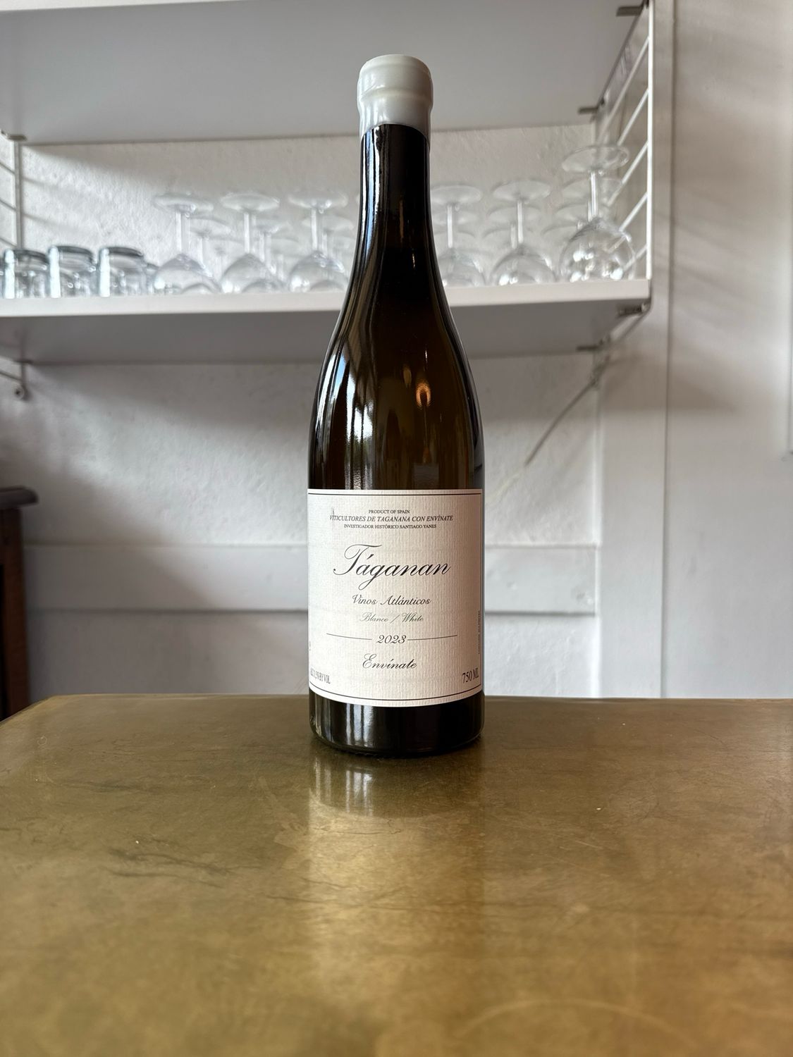 Envinate, Taganan Blanco (2023)