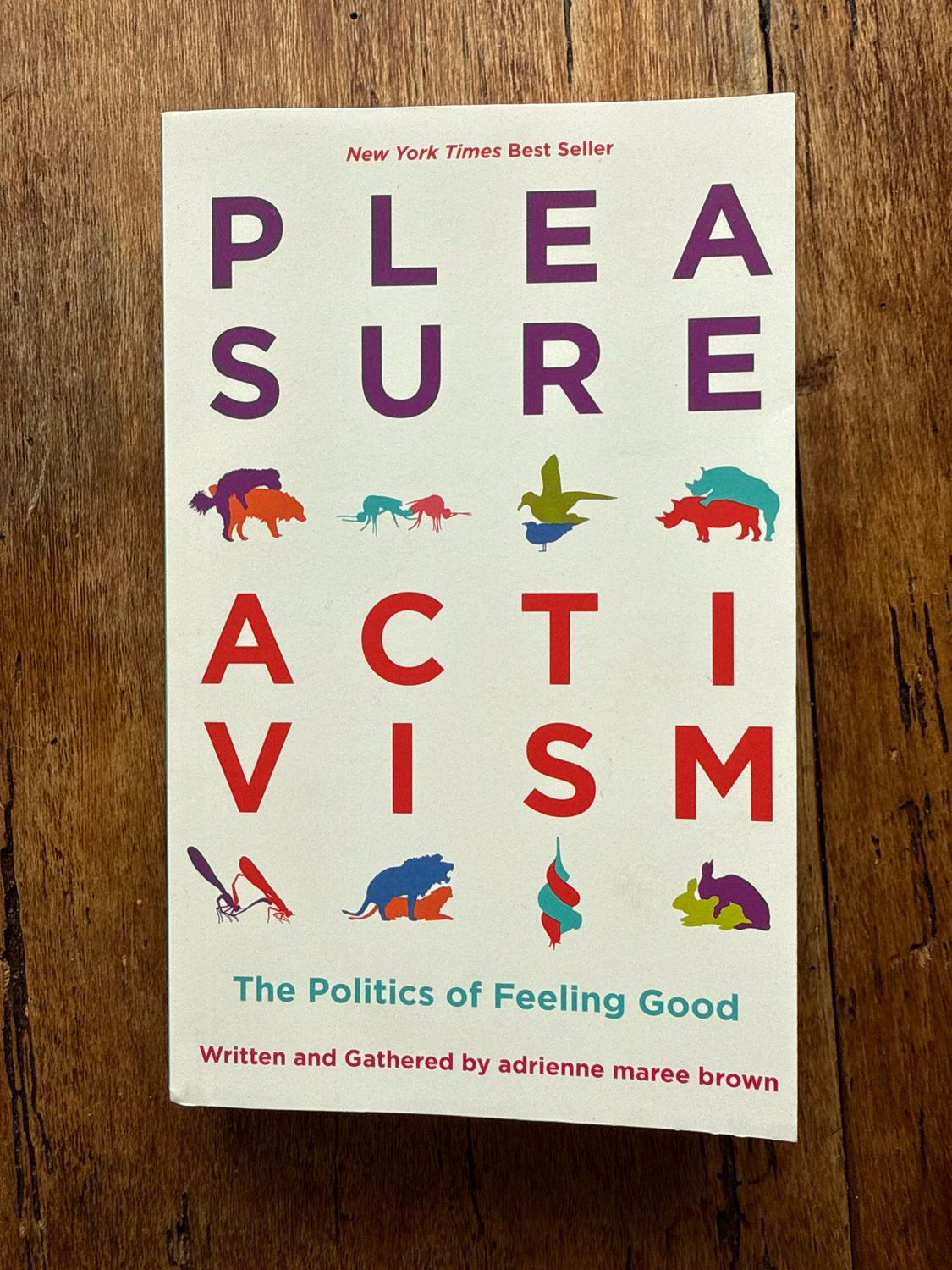 Pleasure Activism: The Politics of Feeling Good