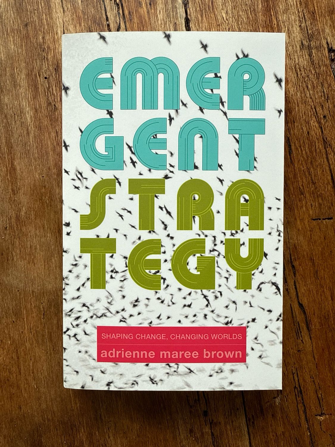 Emergent Strategy: Shaping Change, Changing Worlds