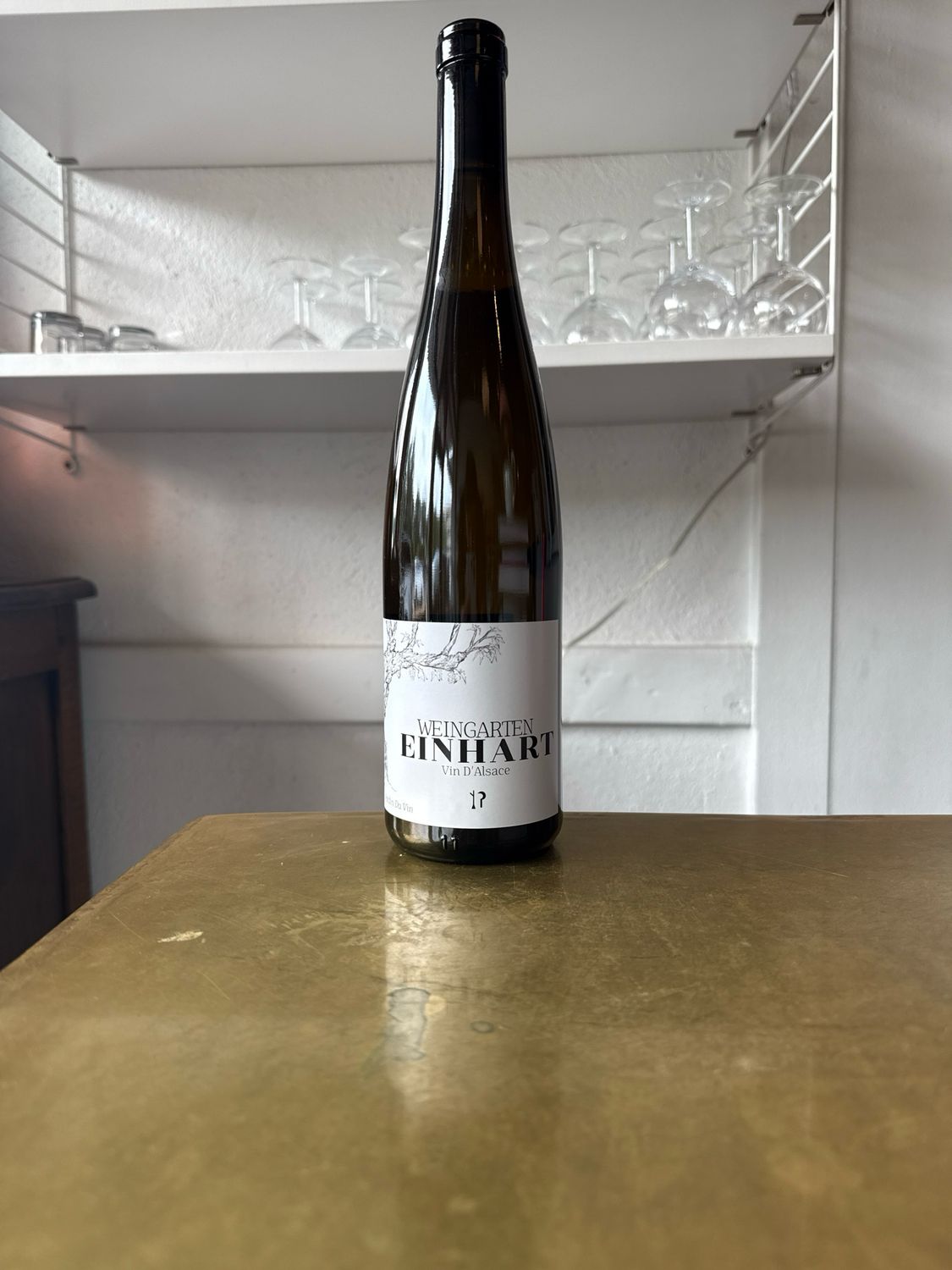 Einhart, Weingarten (2023)