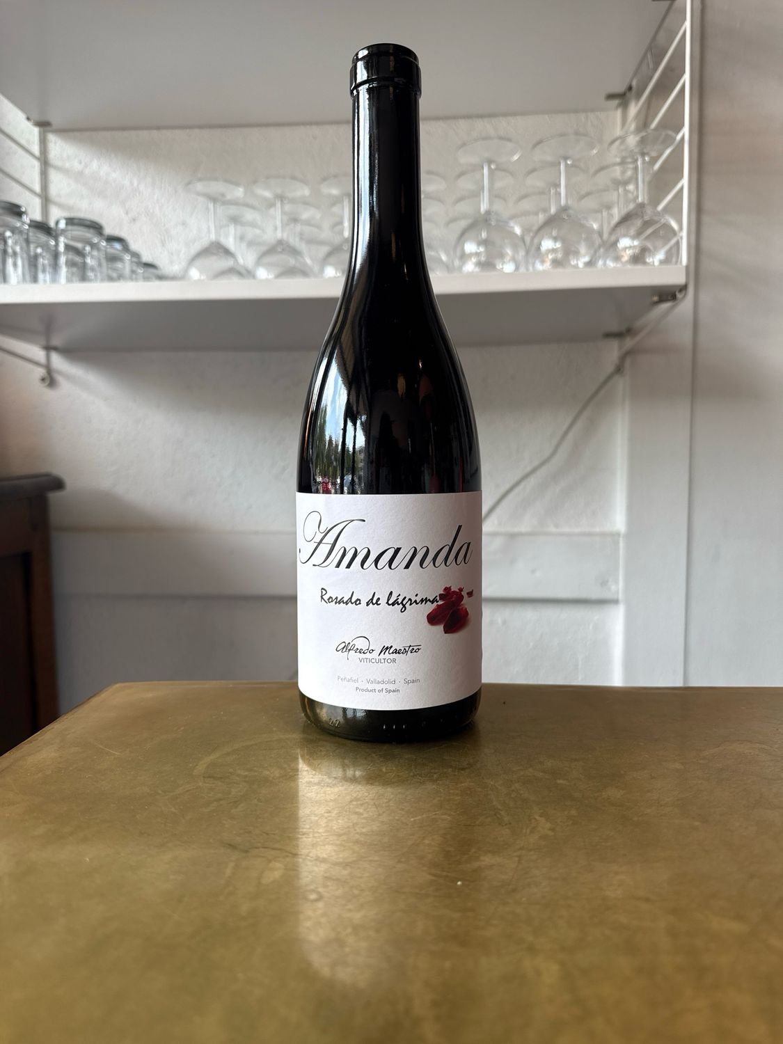 Alfredo Maestro 'Amanda' (2023)