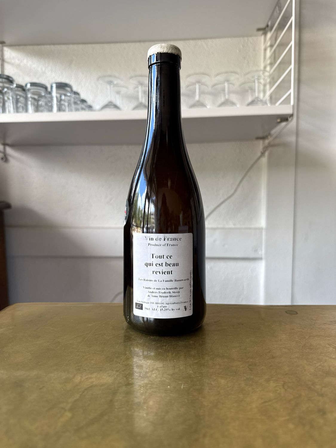 Anders Frederik Steen &#39;Touts Ce Qui est Beau Revient&#39; White (2020)