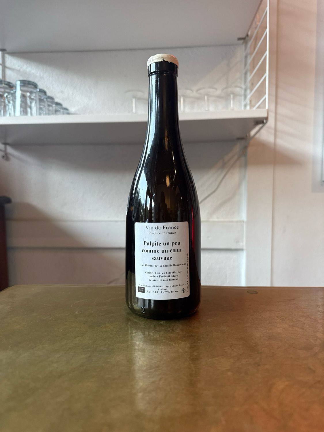 Anders Frederik Steen &#39;Palpite un Peu Comme Un Coeur Sauvage&#39; (2017)