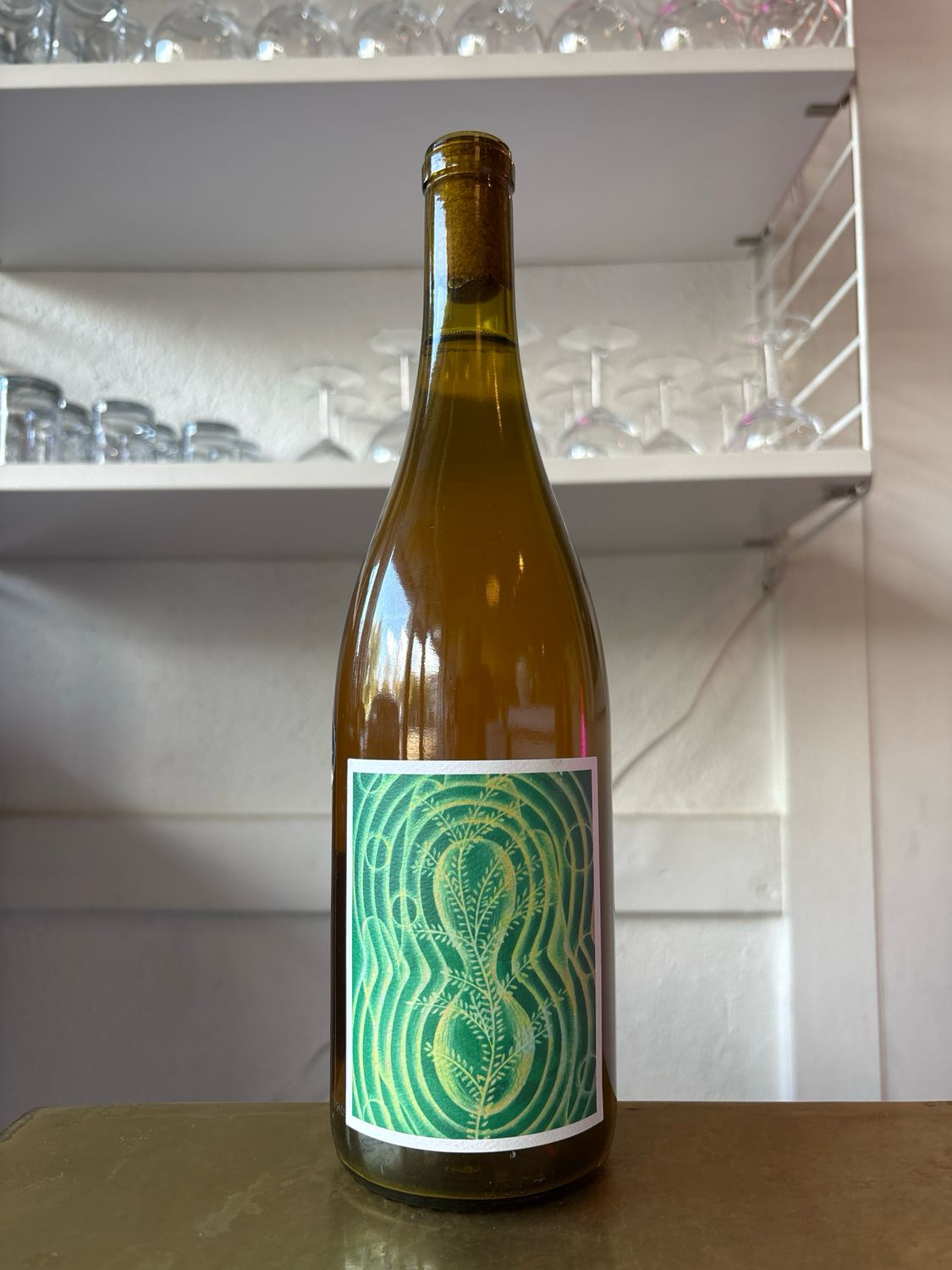 Caleb Leisure, Verso (2024) Caleb Leisure, Verso (2024)