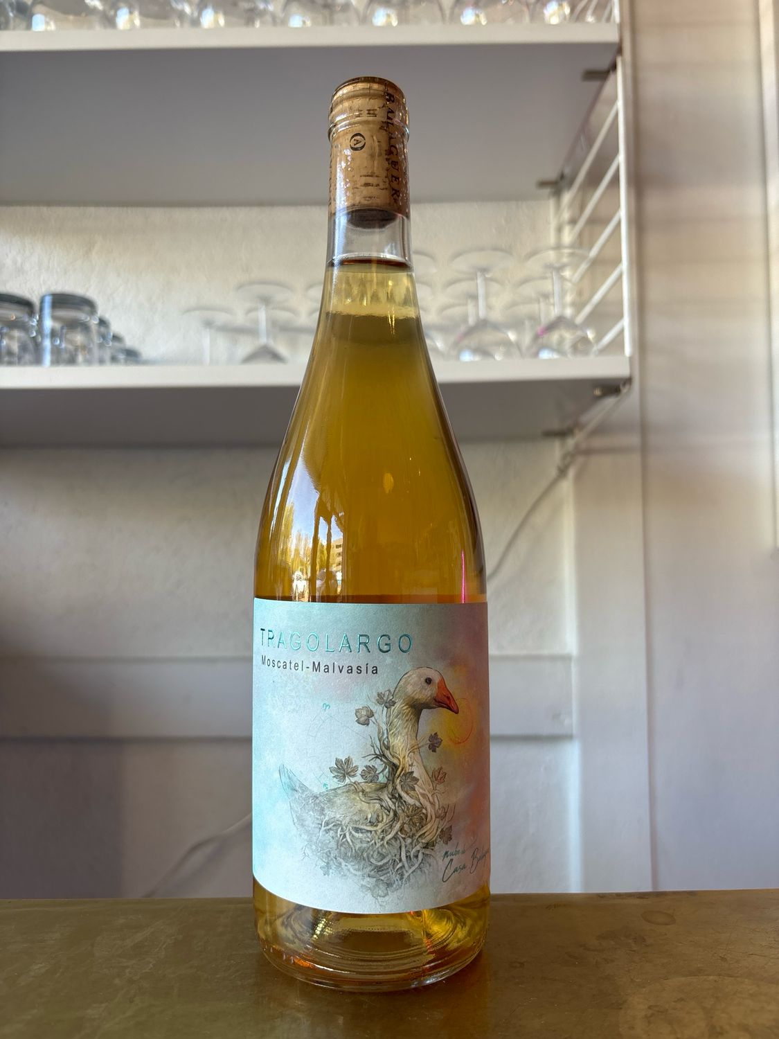 Casa Balaguer, Tragolargo (2024)