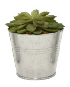 Succulent in Iron Pot #19737