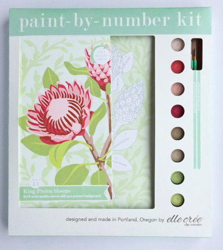 Paint By Number Kit