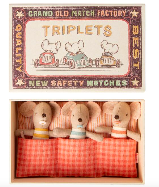 Baby Mice Triplets in Matchbox