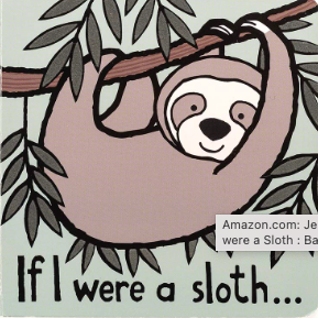 If I Were a Sloth Book