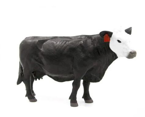 B/W Cow