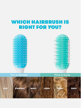 Hair Detangler Brush