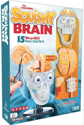 The Amazing Squishy Brain