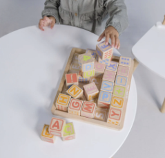 ABC Wooden Blocks #PL101