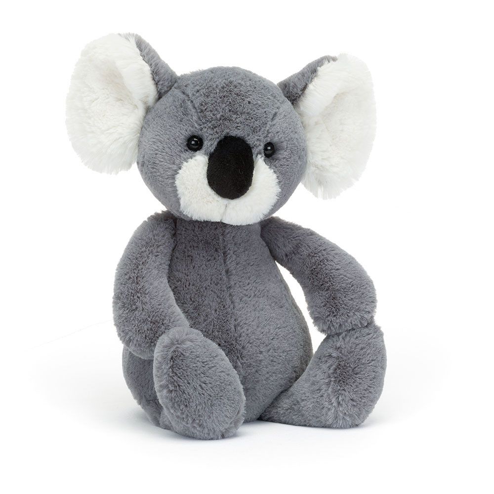 Bashful Koala Medium #BAS3KA