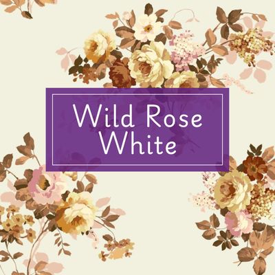 Wild Rose White