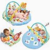 Play N Nap Gymotion