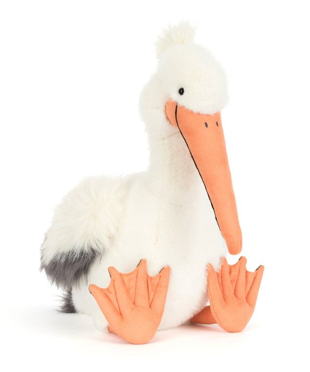 Kelli Pelican