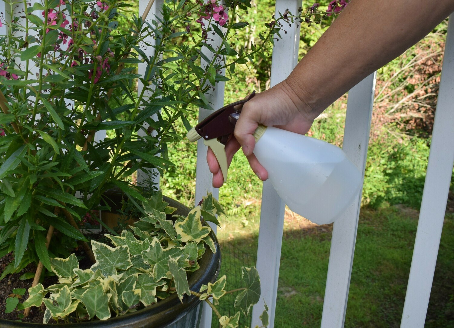 Spray Bottle Spray Bottle