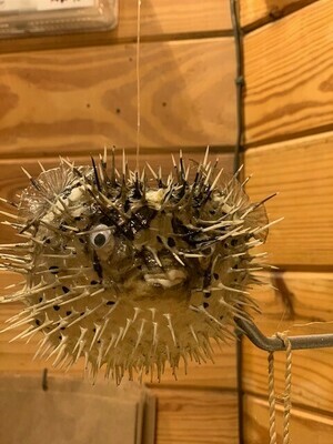 Blowfish Ornament