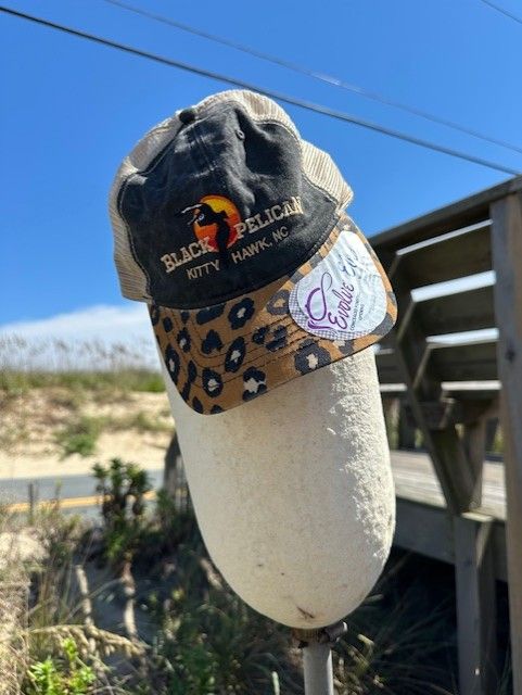 Women's Ponyback Baseball Cap