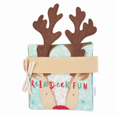 Reindeer Fun Book