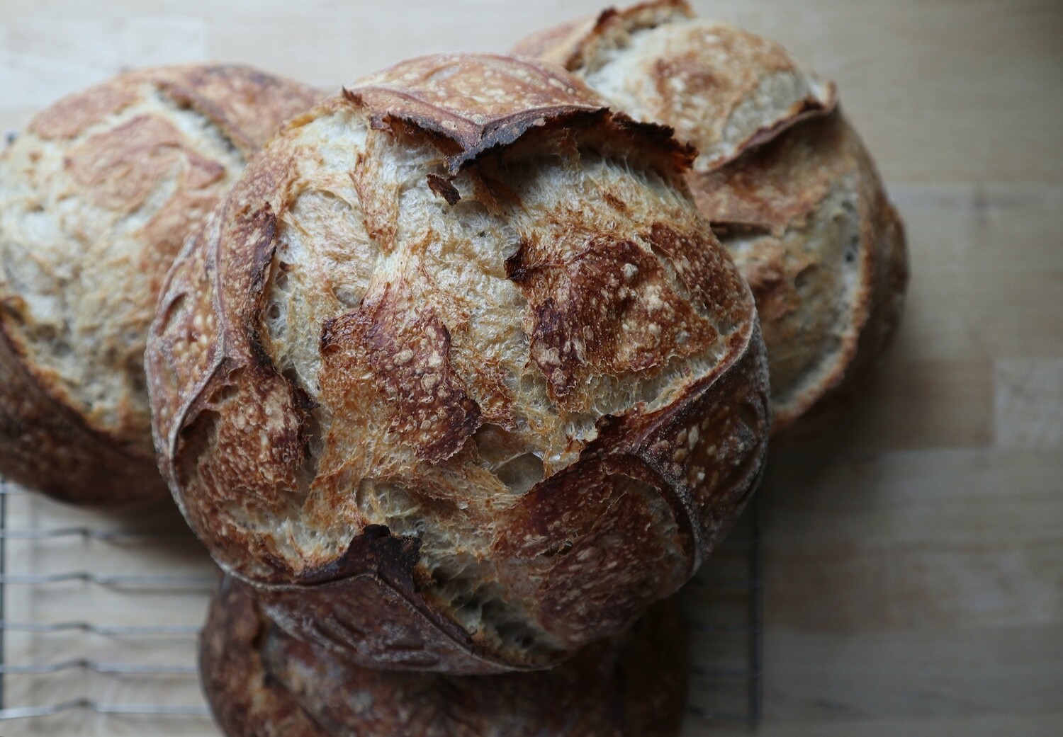 November Bread Club!