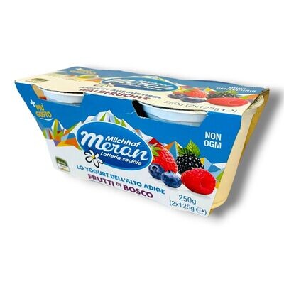 Yogurt Frutti di Bosco 2x125 gr Meran