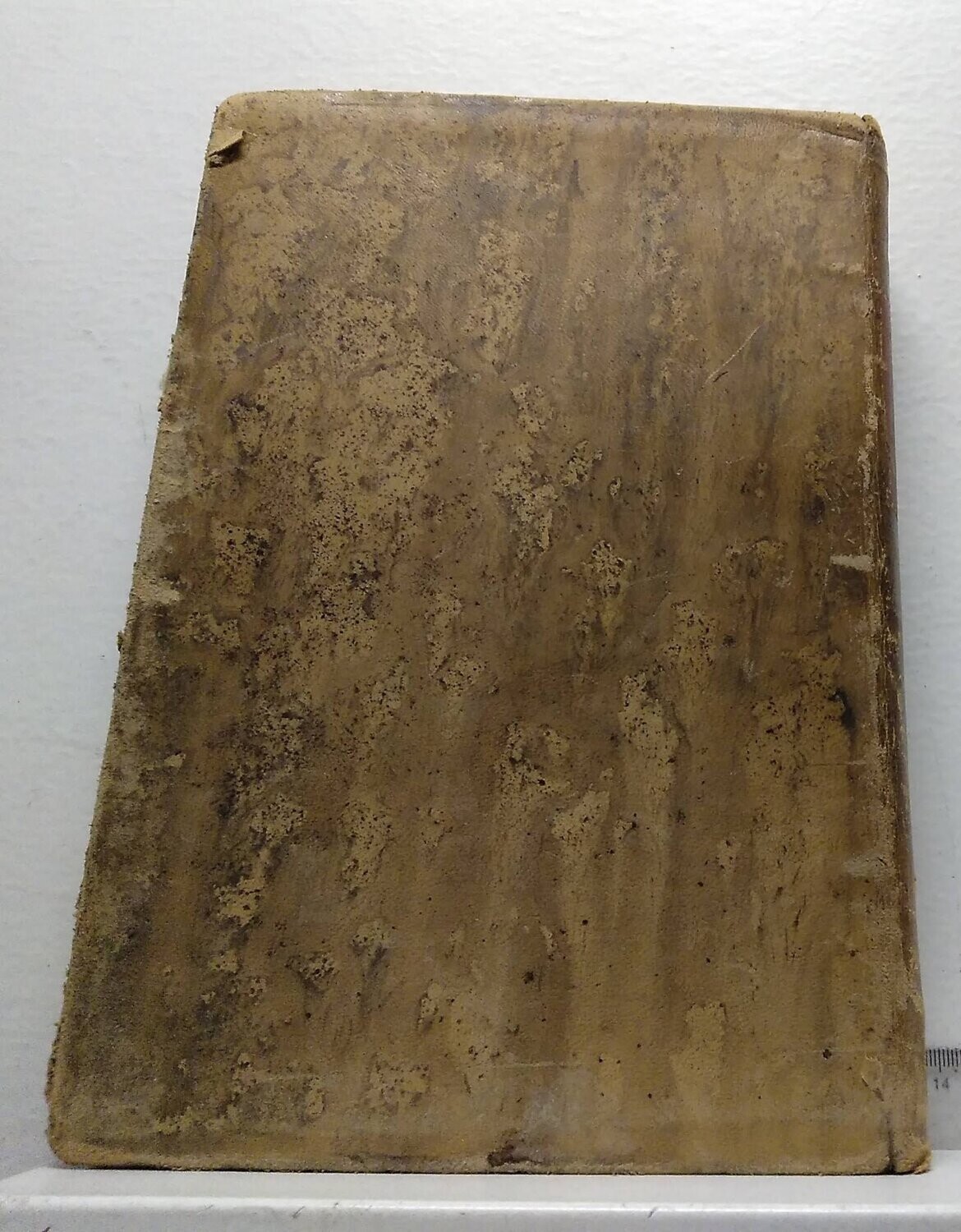 Tratado de histología y anatomía microscópica. Autor: Szymonowic, Ladislaus y Krause, Rudolf.
