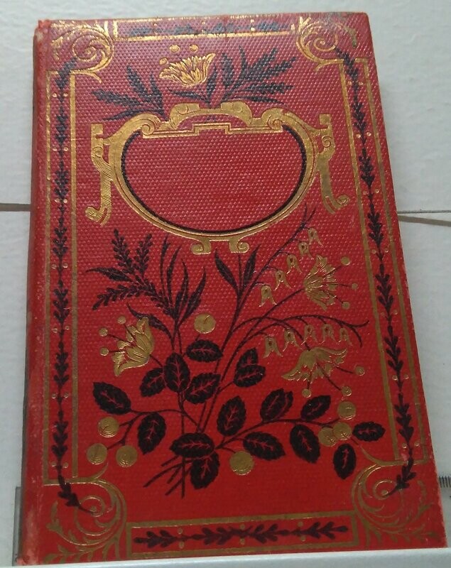 La fille de ma fille.  Autor: Du Chateau, Pierre.