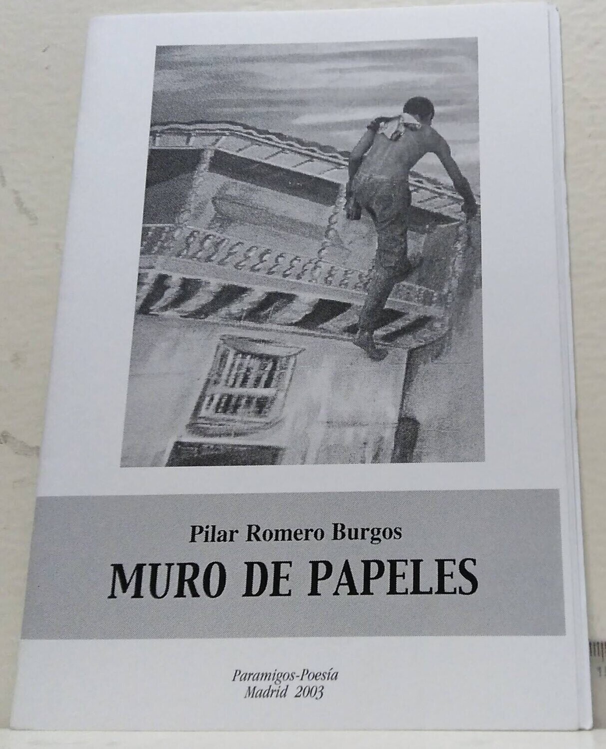 Muro de papeles. Autor: Romero Burgos, Pilar