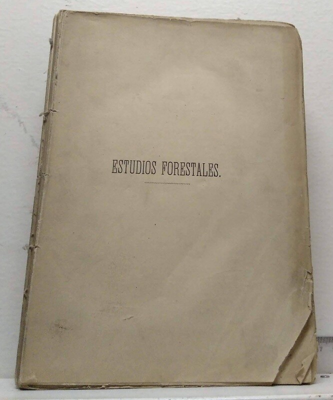 Estudios forestales. Los montes en sus relaciones con las necesidades de los pueblos. Autor: Ruiz Amado, H.