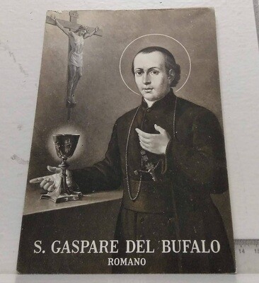 S. Gaspare del Bufalo. Romano. Autor: Gorga, Fedele