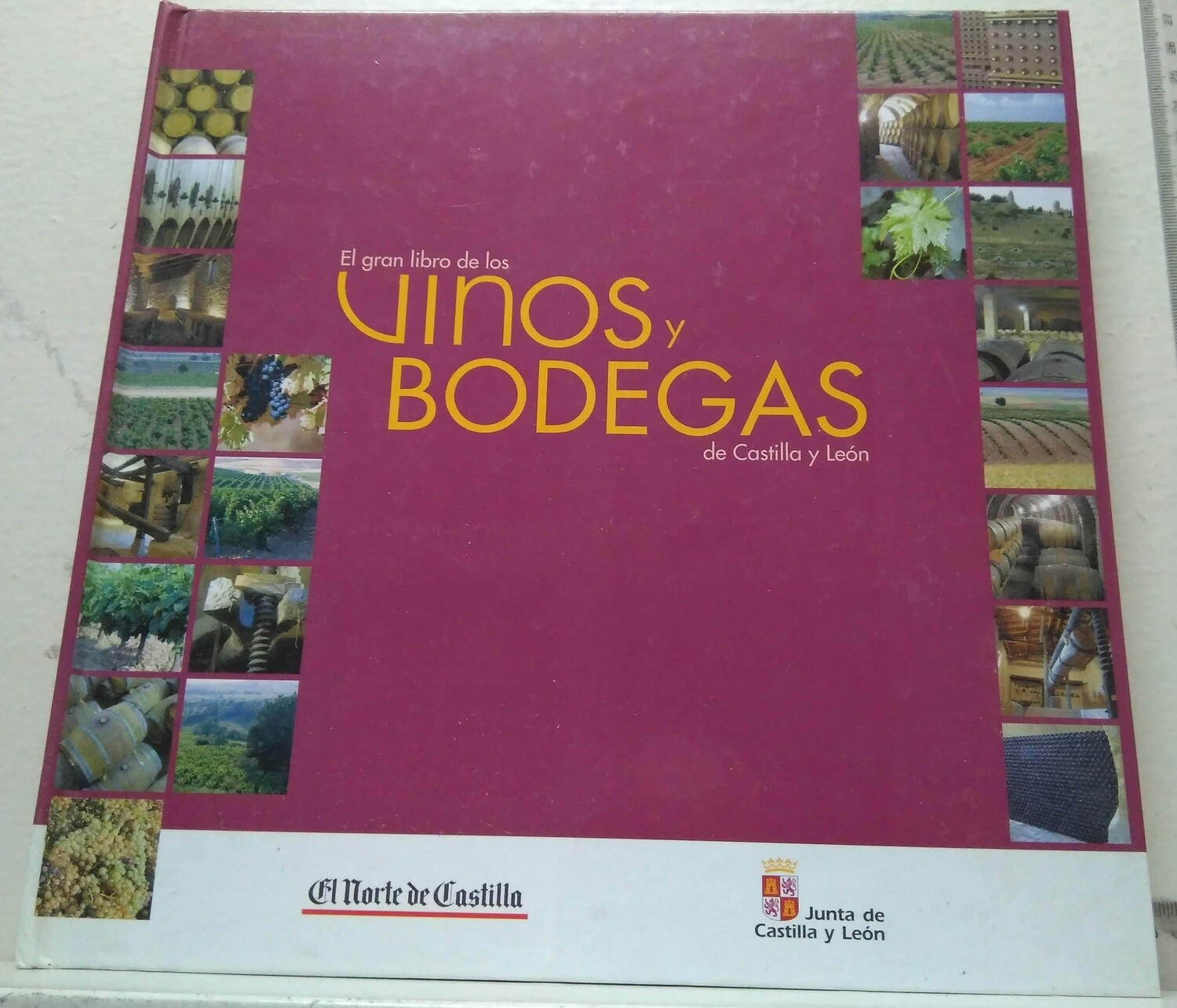 El gran libro de los vinos y bodegas de Castilla y León. Autor: Varios autores
