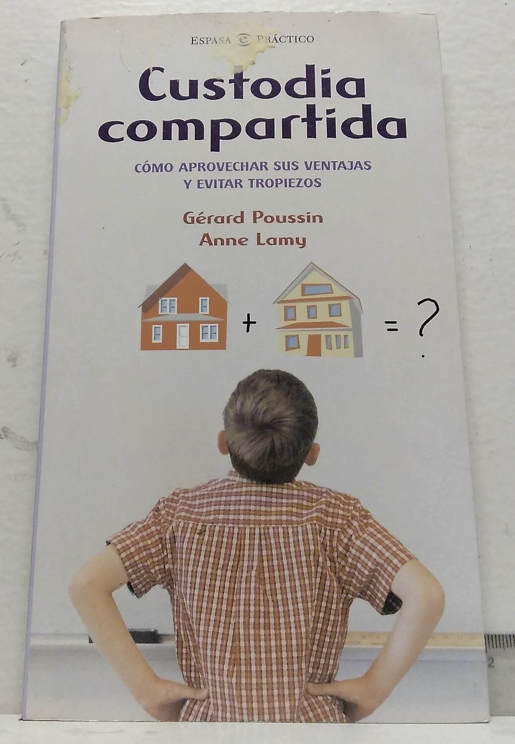Custodia compartida, cómo aprovechar sus ventajas y evitar tropiezos. Autor: Gerard Poussin y Anne Lammy