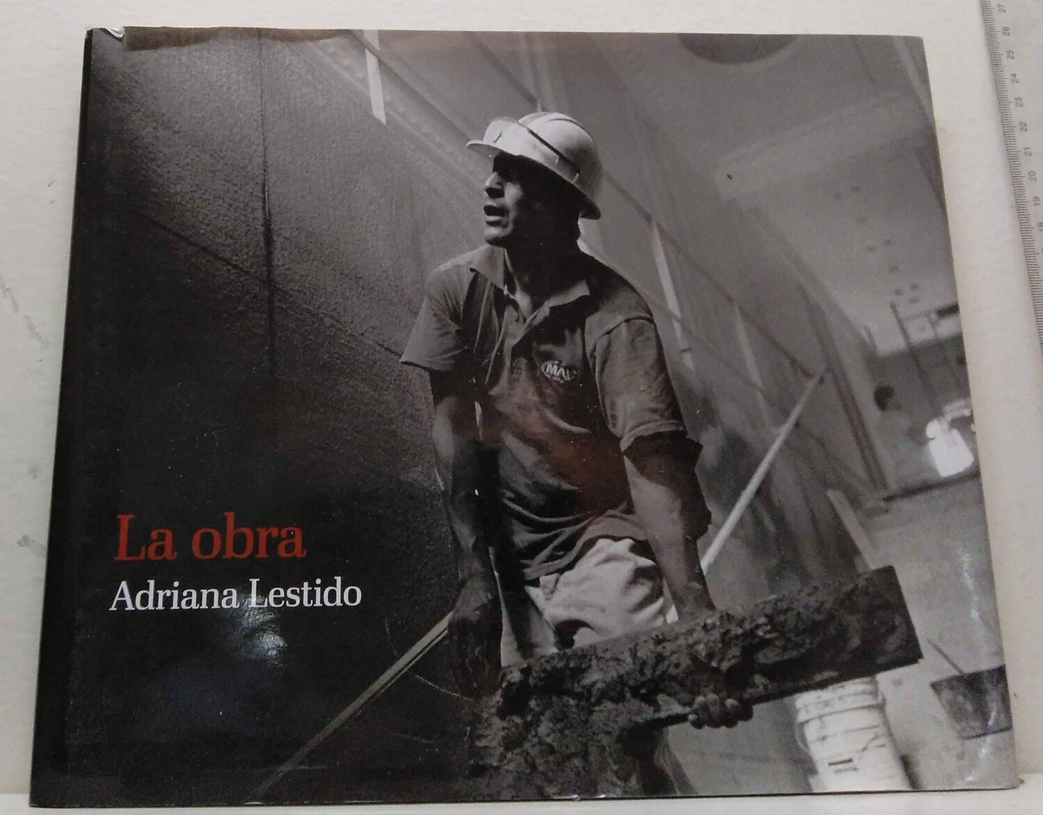 La Obra . Autor: Lestido, Adriana