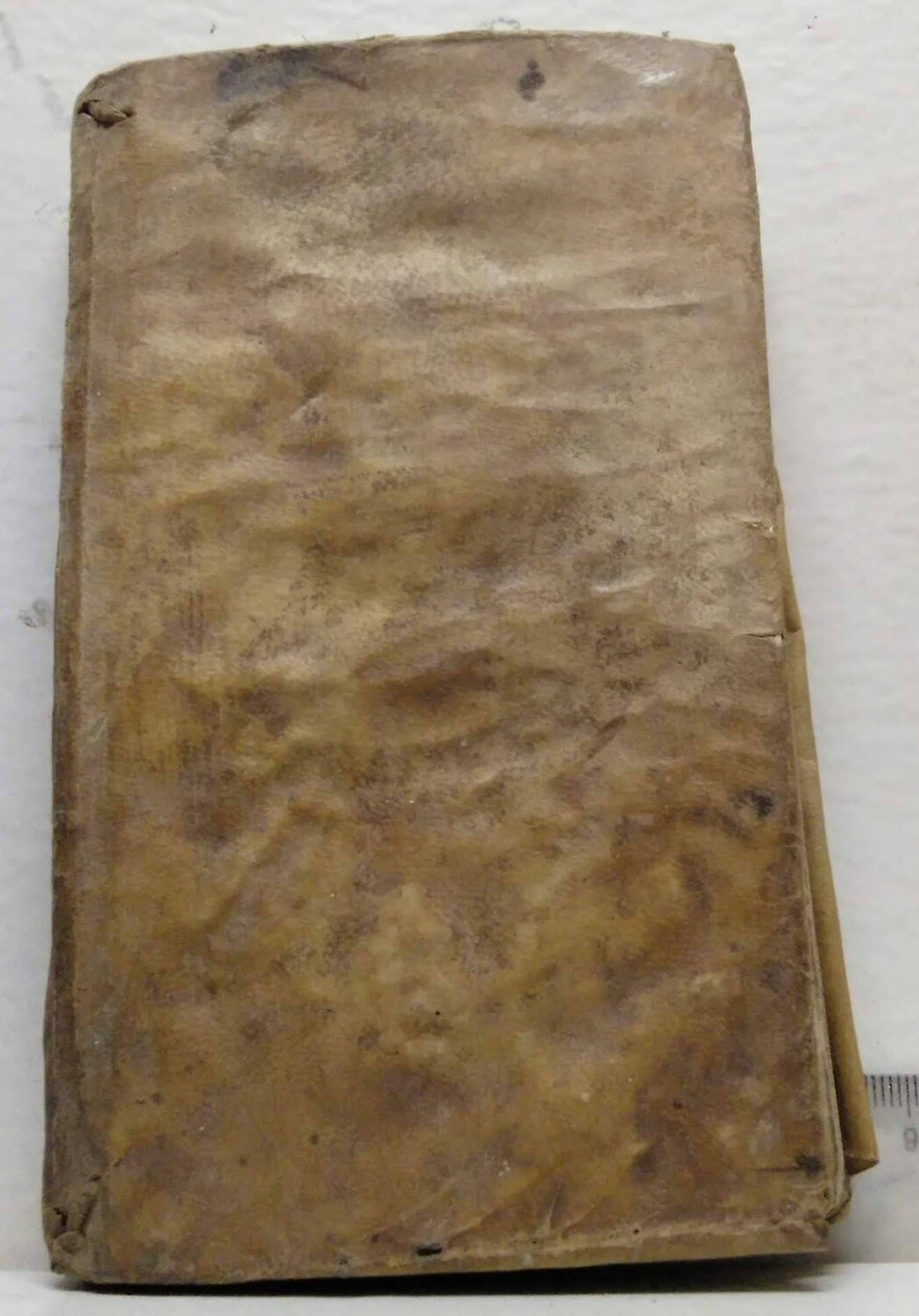 Viator Christianus in Patriam tendens. Autor: