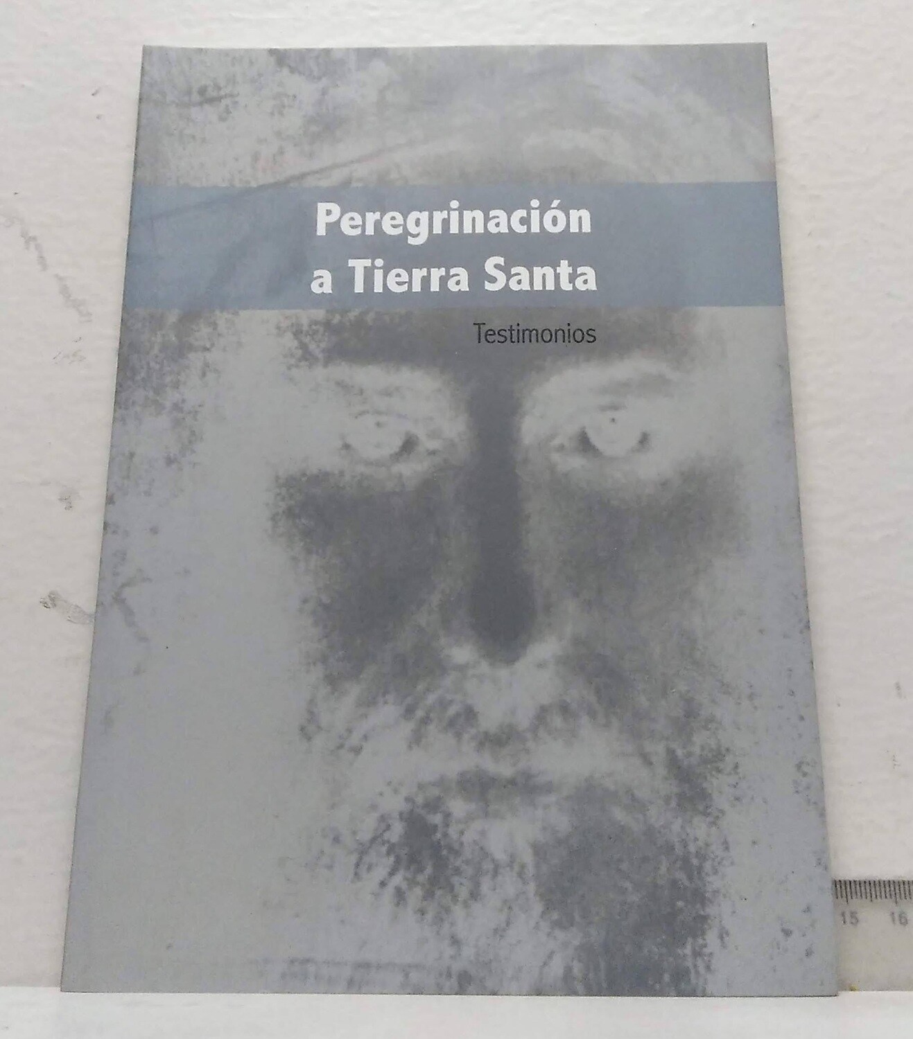 Peregrinación a Tierra Santa. . Autor: Varios autores