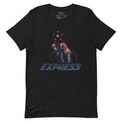 Official Detroit Express™ Stylo Matchmakers® NASL™ Men's classic tee