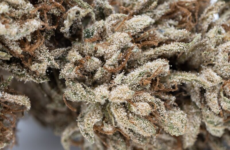 ​Infiorescenze di Cannabis Sativa L. Outdoor - CBG   - 1g