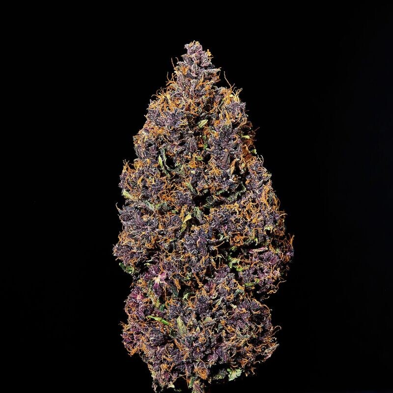 Infiorescenze di Cannabis Sativa L. Outdoor - PURPLE  - 1g