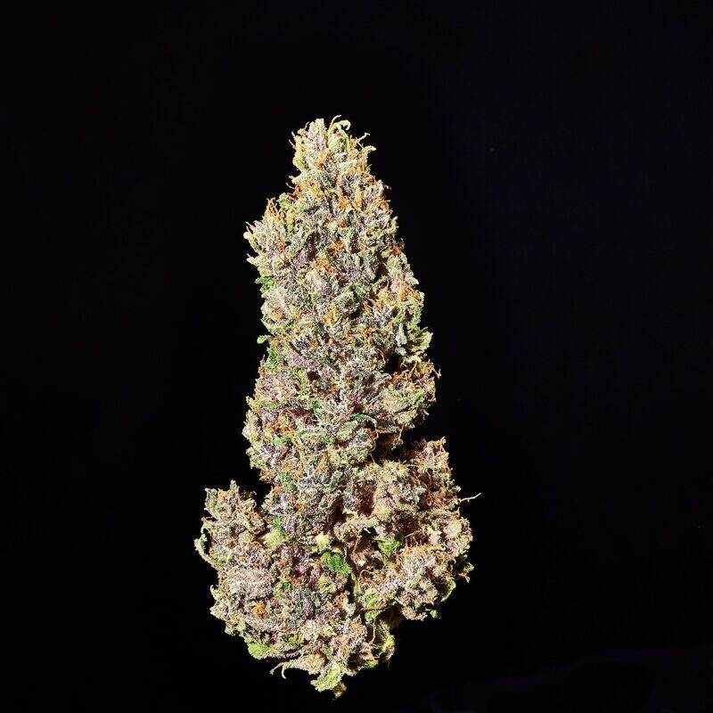 Infiorescenze di Cannabis Sativa L. Outdoor - LILY - 1g