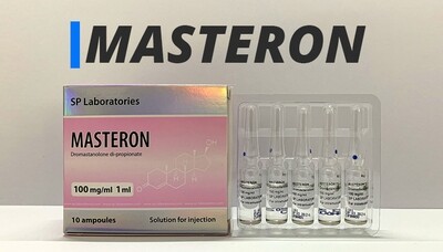 INFORMAZIONI SU MASTERON