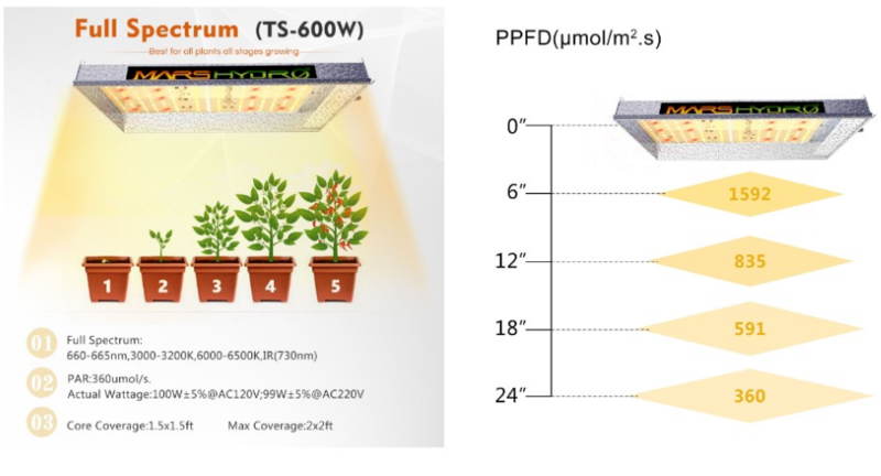 Hydro TS 600W LED Grow Light with Sunlike Full Spectrum for Indoor Plant Growth and Horticulture