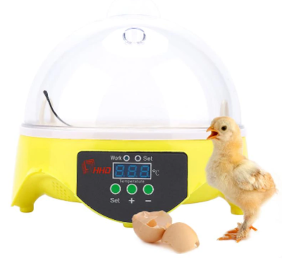 Mini 7 Egg Incubator With Built-in Temperature Control System