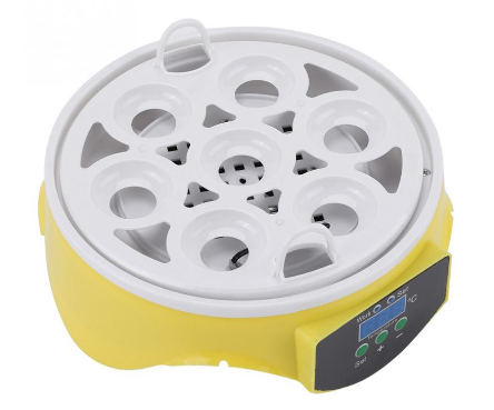 Mini 7 Egg Incubator With Built-in Temperature Control System