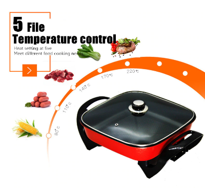 Electric Cooker Heating Pan/Hotpot Food Steamer