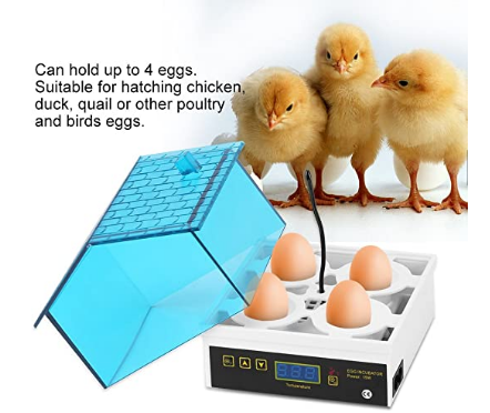 Mini Digital Egg Incubator/Hatcher Adjustable Temperature For Chicken Duck Bird Quail