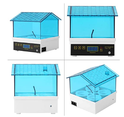 Mini Digital Egg Incubator/Hatcher Adjustable Temperature For Chicken Duck Bird Quail