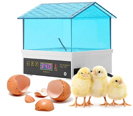 Mini Digital Egg Incubator/Hatcher Adjustable Temperature For Chicken Duck Bird Quail